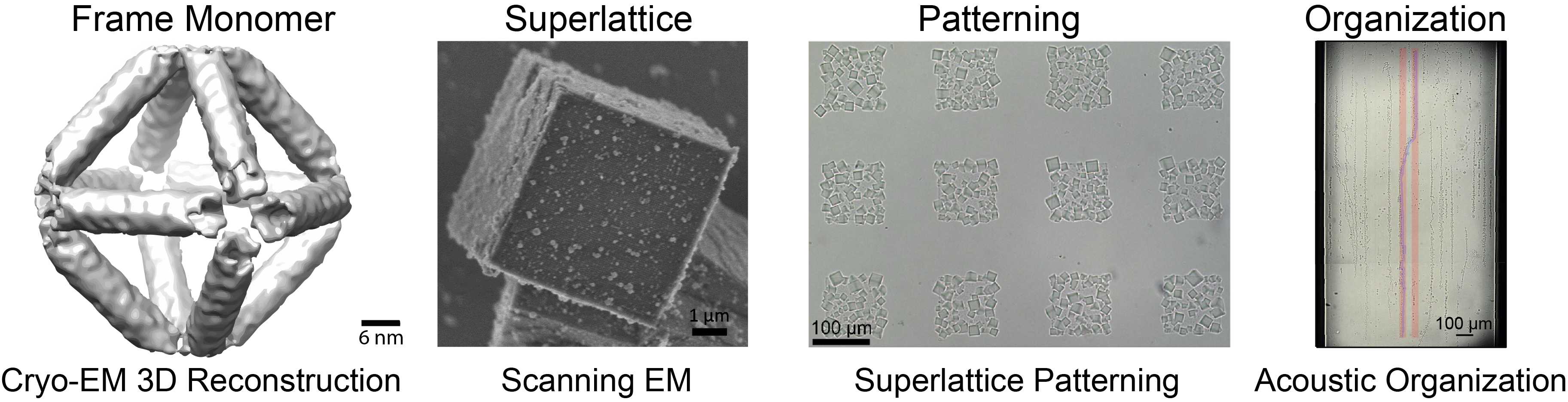 Hierarchical multiscale scaffolds: from 1 nm DNA to 1 mm acoustic organization